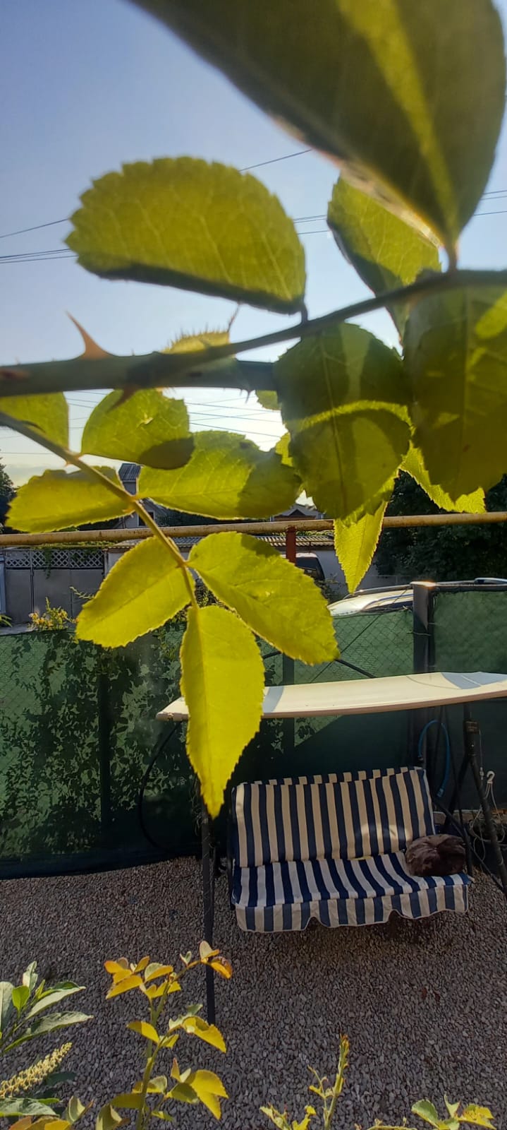 Уютный двор таунхауса в Феодосии