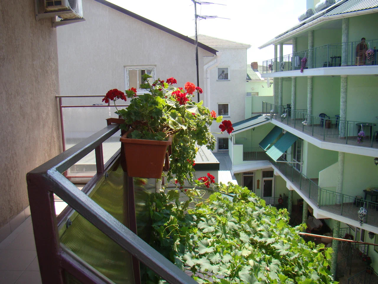 Корабль - раковина