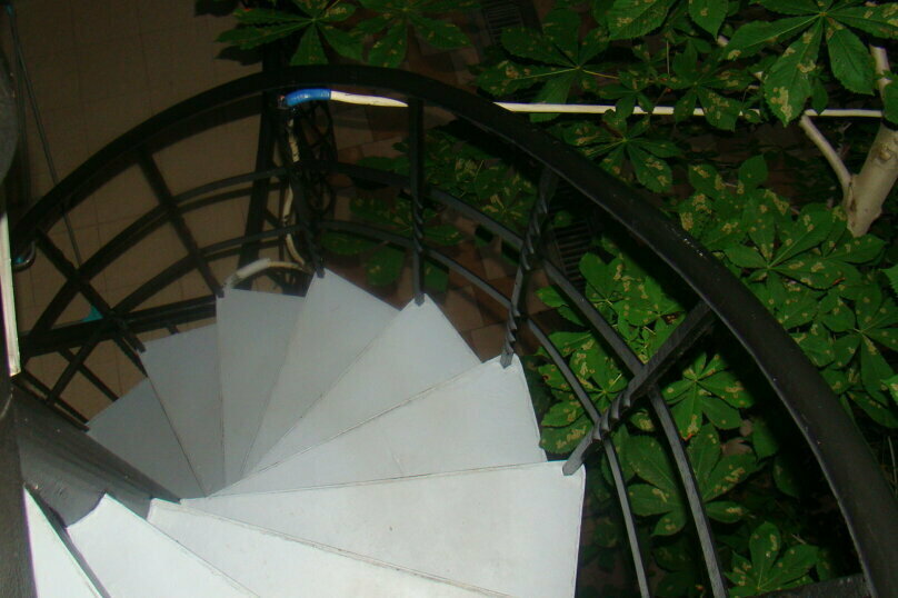 Зазеркалье - лестница