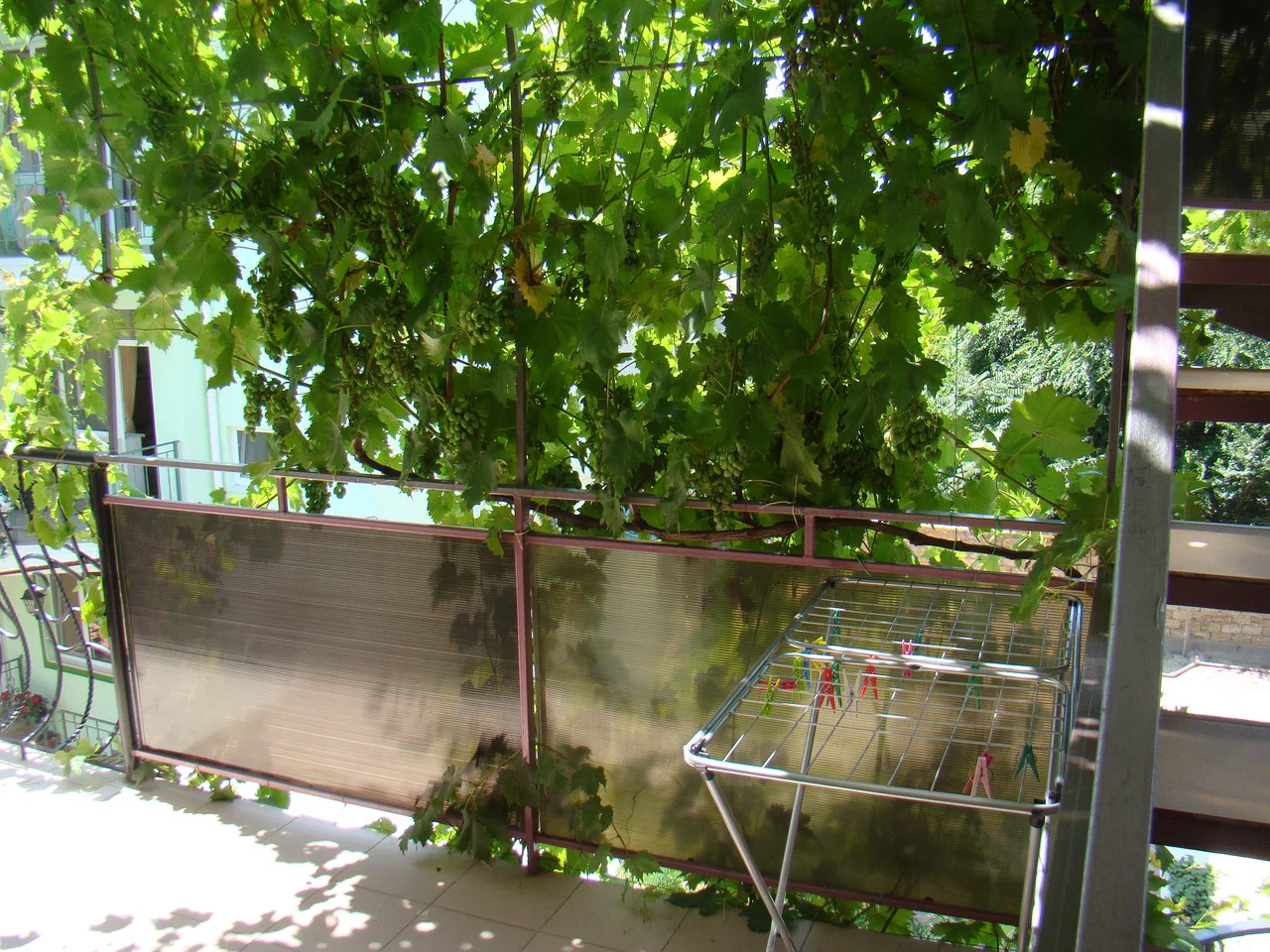 Каминный номер - санузел